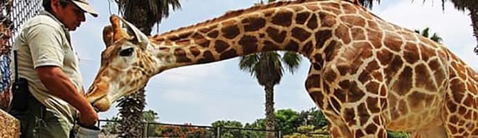 Hostal en San Miguel: Maria Jose